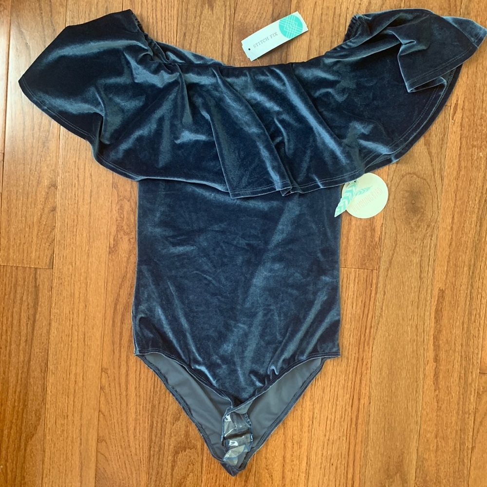 STITCHFIX: HUMMINGBIRD blue suede body suit